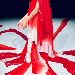 Spine (C'è corrente nella spina) - Flavia Massimo