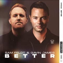 Sam Feldt & Gavin James - Better