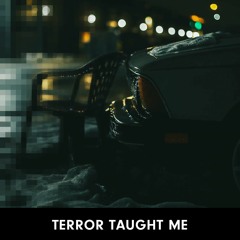 Terror Taught Me