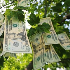 MONEYTREE(medusakb)