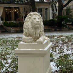 (cover) Pigs on a wing - Pink Floyd