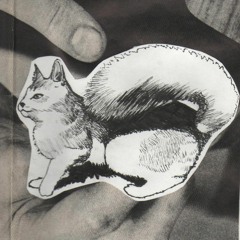 no quiero vivir en un mundo de jaulas