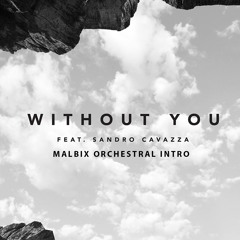 Avicii - Without You (Malbix Orchestral Intro)