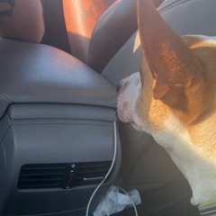 tweak hard prod grosxs7