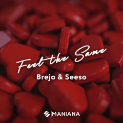 Brejo & Seeso - Feel The Same.wav