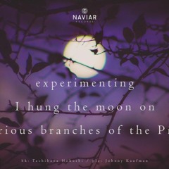 I Hung The Moon On Various Branches Of The Pine ( Naviarhaiku 391 )