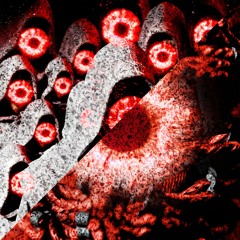 Sudden Admiration // We Won’t Go