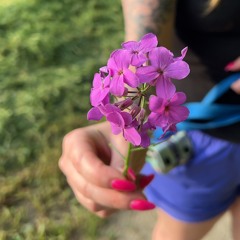 Blossom