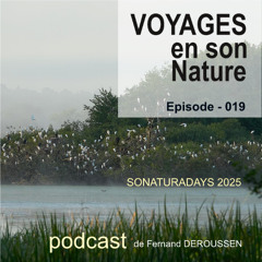 VSN019_SONATURADAYS_2025_F Deroussen