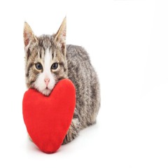 corazon de nube #ambientjerk #lsdn