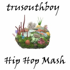 trusouthboy Hip-Hop Mash Mix - 55 Tracks - See Track List