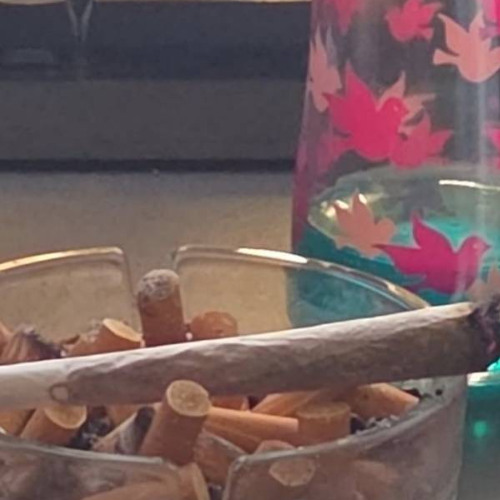 tutmierleid ft. LunZZ (@prod.NyntexWAV)