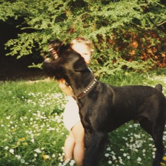 Off (feat. Torky Tork)