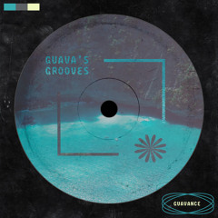GUAVA'S GROOVES Vol.1