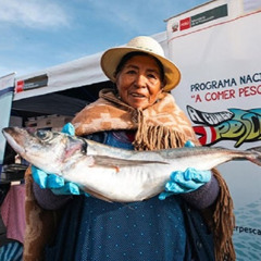 Semana Santa: consumo de pescado peruano sano y nutritivo