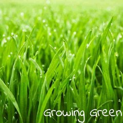 ZioMau - Growing Green