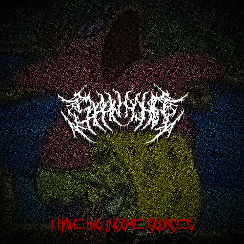 I Have Two Income Sources