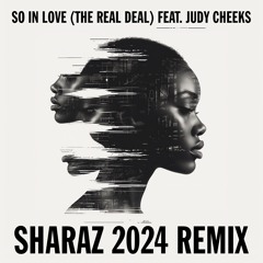 So In Love (2024 Radio Remix)