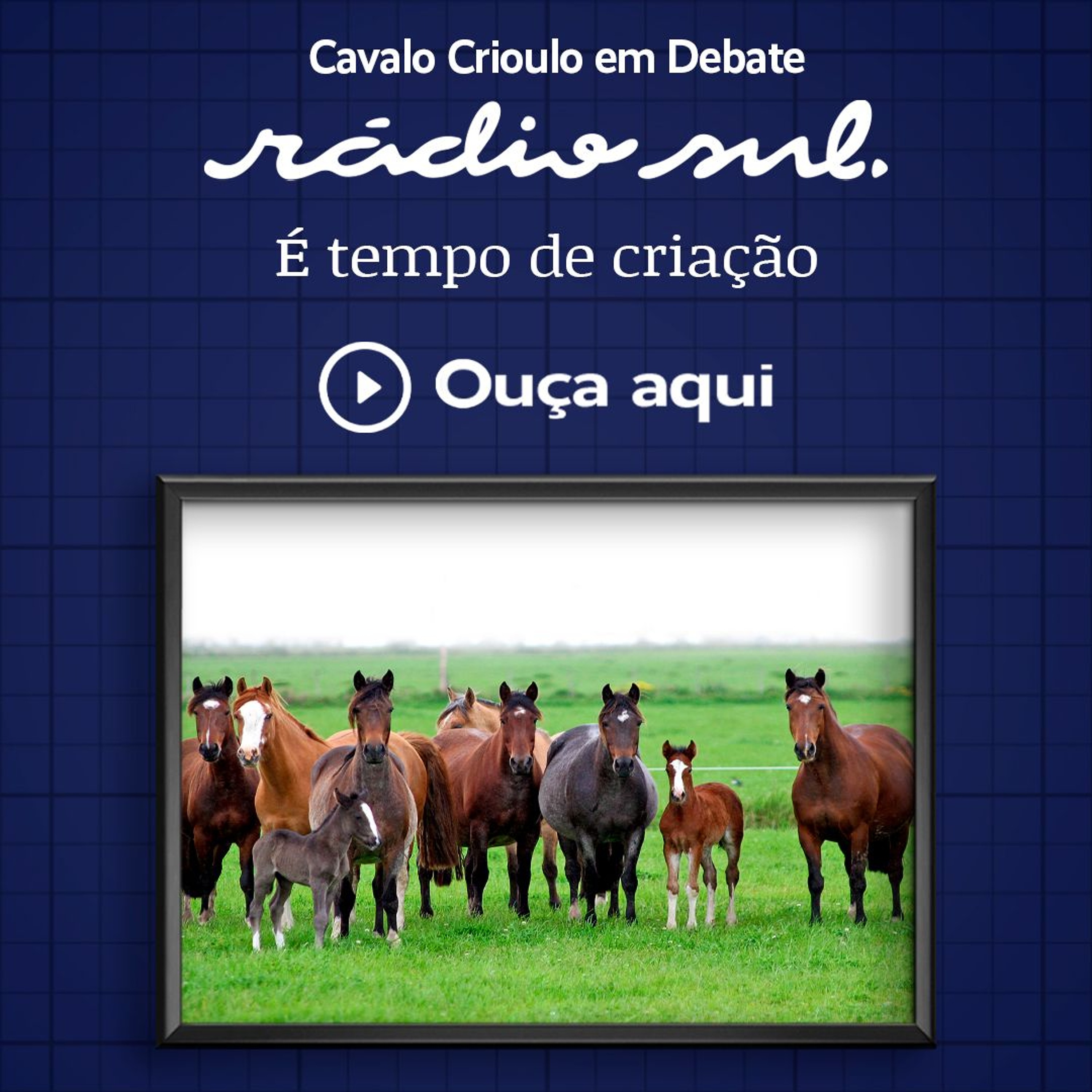 Radiosul.net