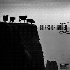 The Fect 4 - Cliffs Of Moher [23]