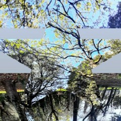 2. MONDO IN...EPIFISI