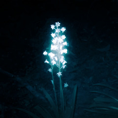 aphelion