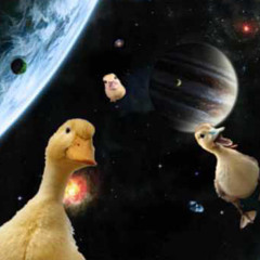 cosmic ducks