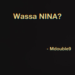 Wassa NINA