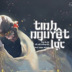 Tinh nguyệt lạc 星月落 - Phù Sinh Mộng