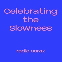 Celebrating the Slowness - Finstere Tanzmusik Dezember Mix