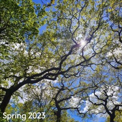 Spring 2023