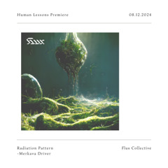 HL Premiere : Radiation Pattern - Merkaba Driver [Flux Collective]