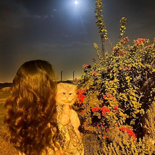 كل عام وانا احبك زياده 🦋