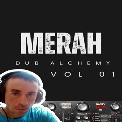 Dub Alchemy vol 01 (Jungle / dub techno Sample Pack)
