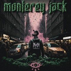 MONTEREY JACK [Sk3lly]