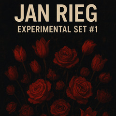 EXPERIMENTAL SET #1 - JAN RIEG
