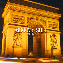 GROOVY SHIT
