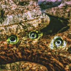 Meat and Potatoes (feat. Caleb Liu)