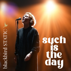 Such is the day