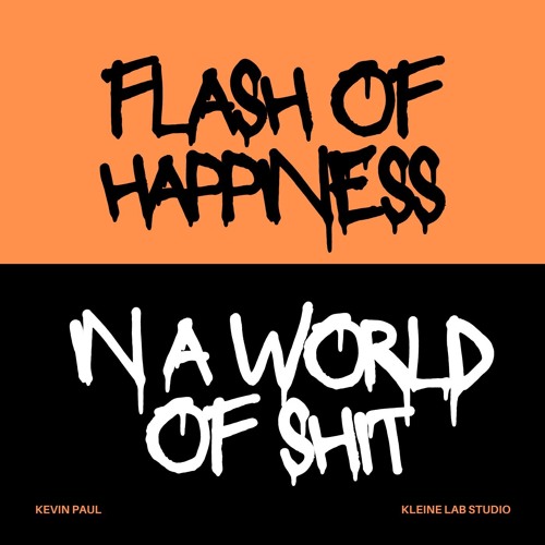 FLASHES OF HAPPINESS IN A WORLD OF SHIT (no master)