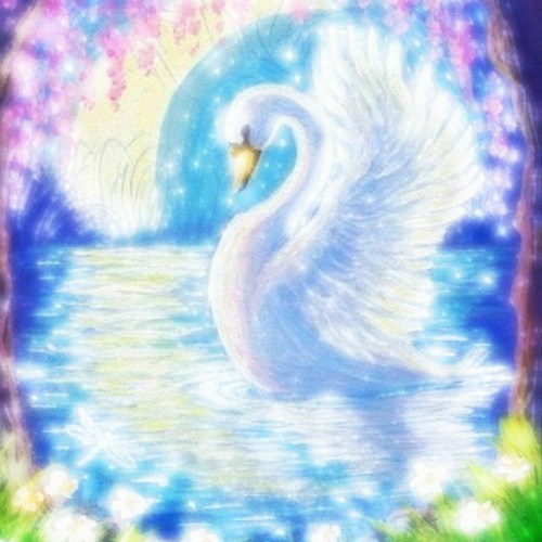 swan lake (limerence edit)