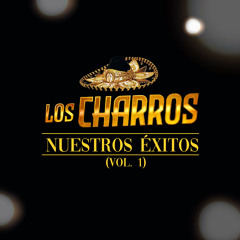 Nuestros Éxitos, Vol. 1