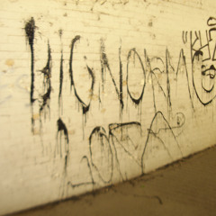 Big Normo Fly