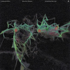 Kobayashi Maru - Induction Texture EP -  AMPH004 - Preview