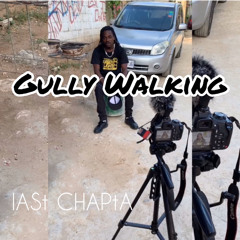 lASt CHAPtA - Gully Walking