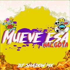 Mueve Esa Nalgota - Dj Shadow Mx