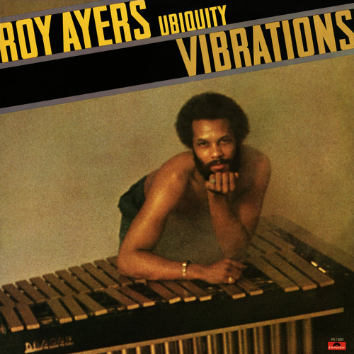 【デッドストック】Roy Ayers / Searching Remix 12\