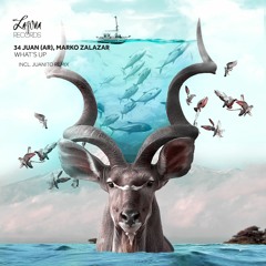 Juan (AR), Marko Salazar - Whats Up (Juanito Remix)