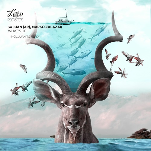 Juan (AR), Marko Salazar - Whats Up (Juanito Remix)