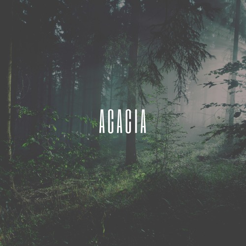 Acacia